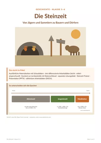 Cover: Die Steinzeit