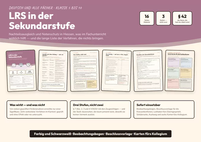 Cover: LRS in der Sekundarstufe
