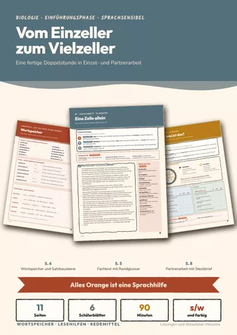 Cover: Vom Einzeller zum Vielzeller