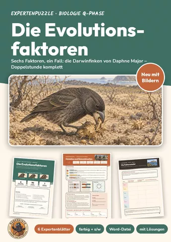 Cover: Evolutionsfaktoren im Expertenpuzzle