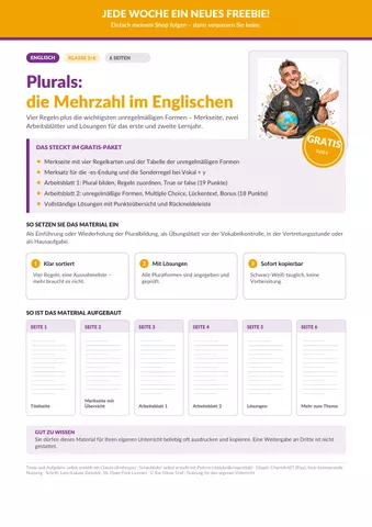 Cover: Plurals: die Mehrzahl im Englischen