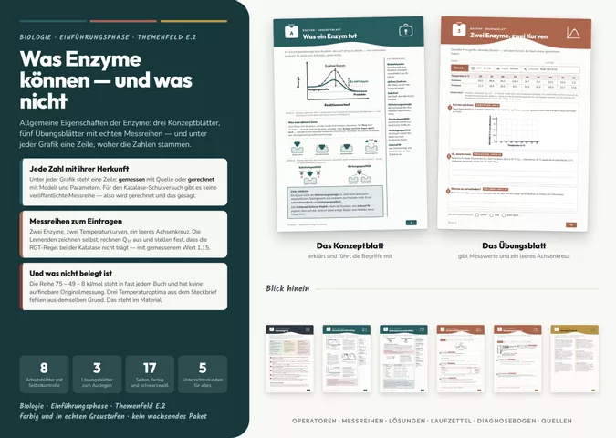 Cover: Enzyme: allgemeine Eigenschaften